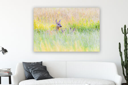 Wandbild Rehkitze