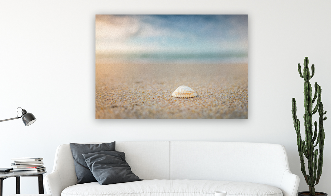 Wandbild Muschel Sylt