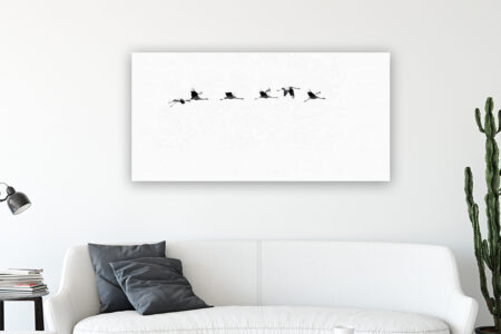 Fliegende Kraniche III