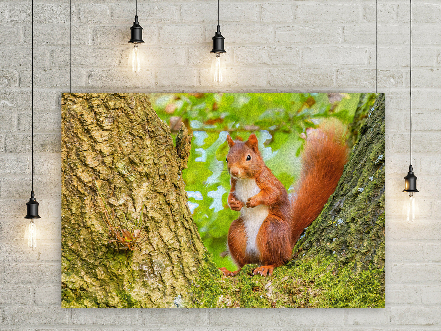 Wandbild Eichhörnchen