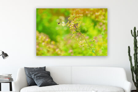 Wandbild Hummel und Schmetterling