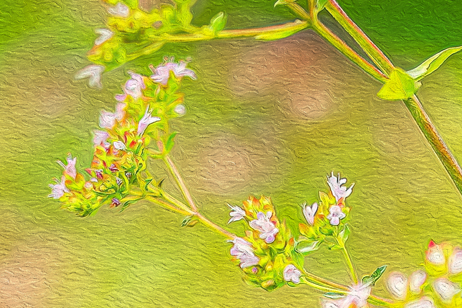 Wandbild Hummel und Schmetterling