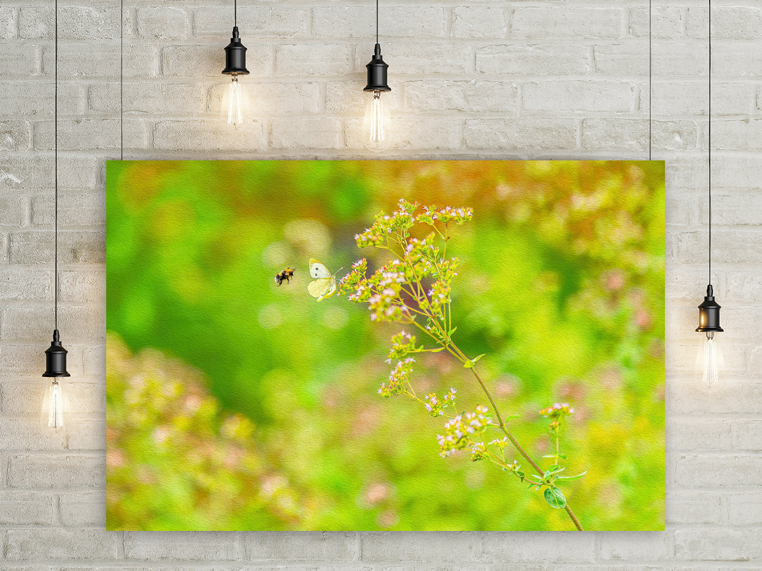 Wandbild Hummel und Schmetterling