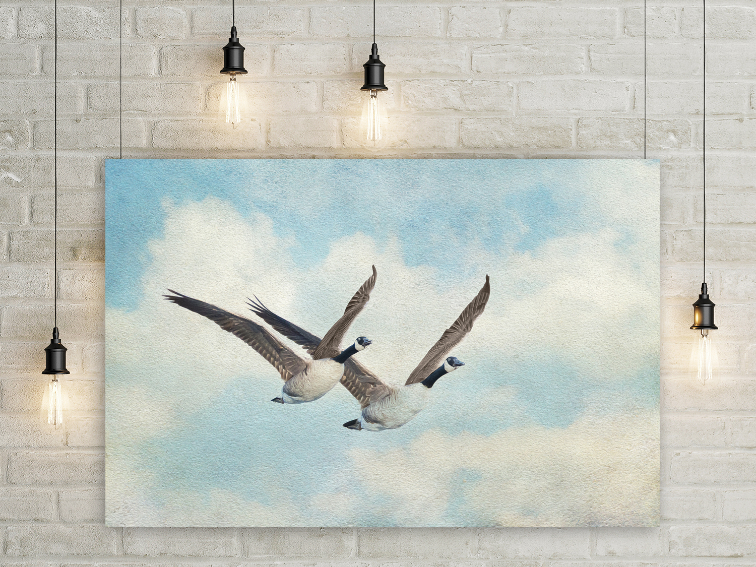 Wandbild Kanadagänse