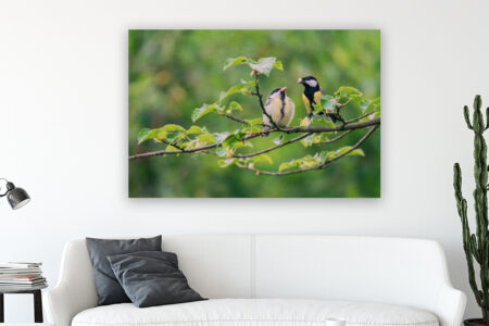 Wandbild Kleiner Vogel