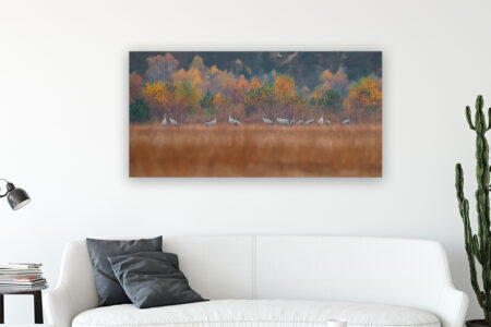 Wandbild Kraniche im Herbst