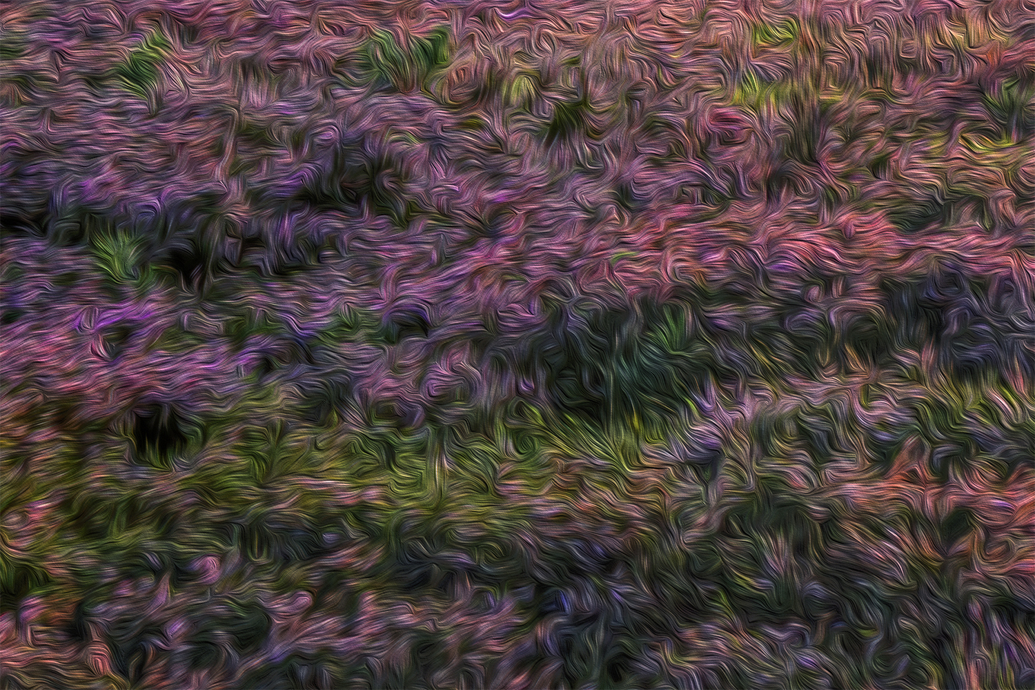 Wandbild Lüneburger Heide