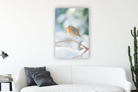 Wandbild Rotkehlchen