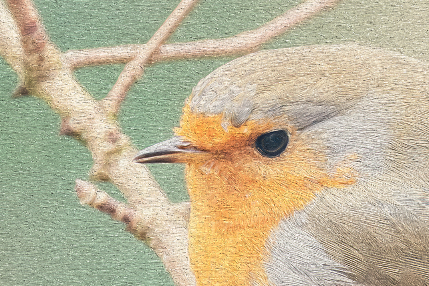 Wandbild Rotkehlchen