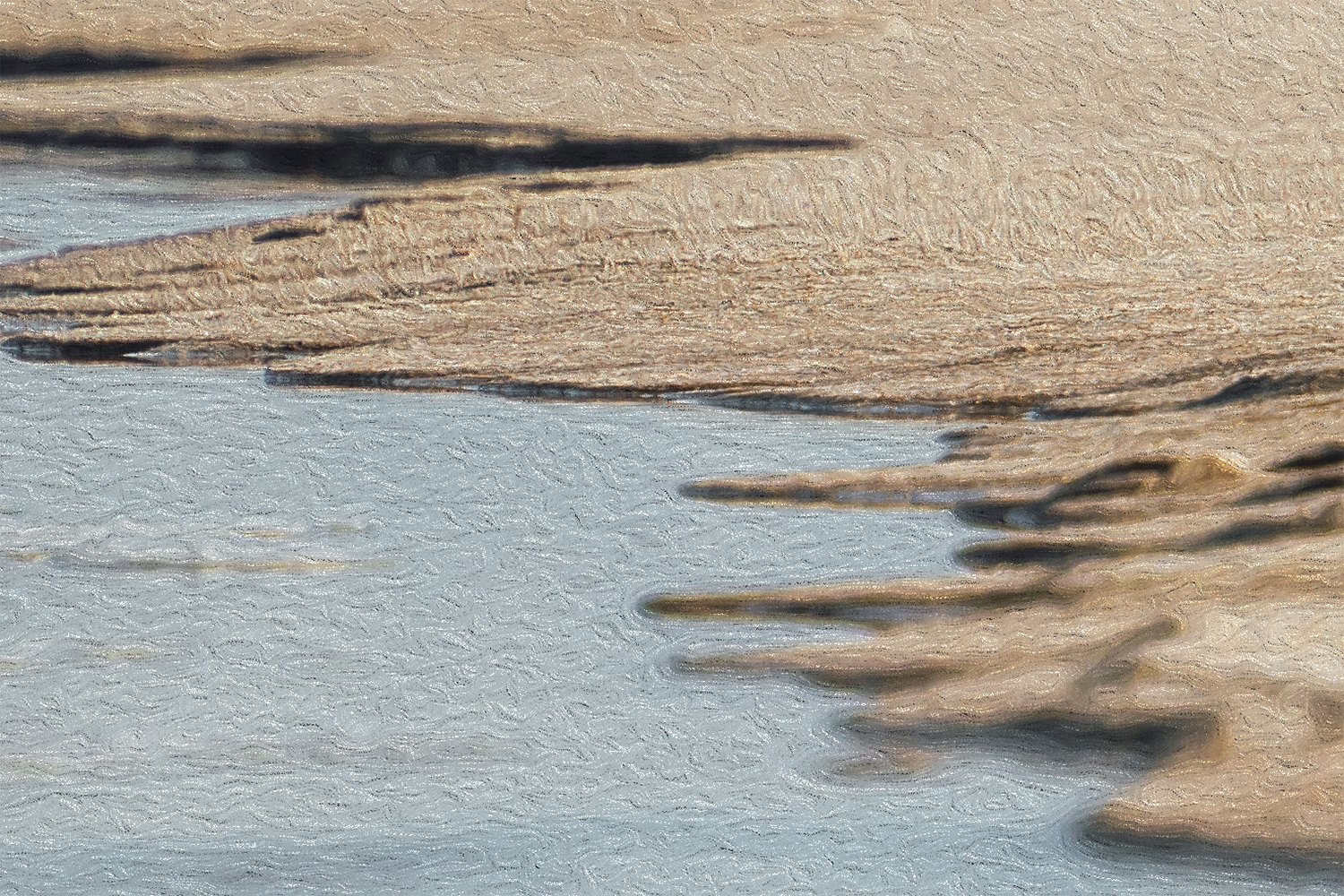 Wandbild Sandregenpfeifer
